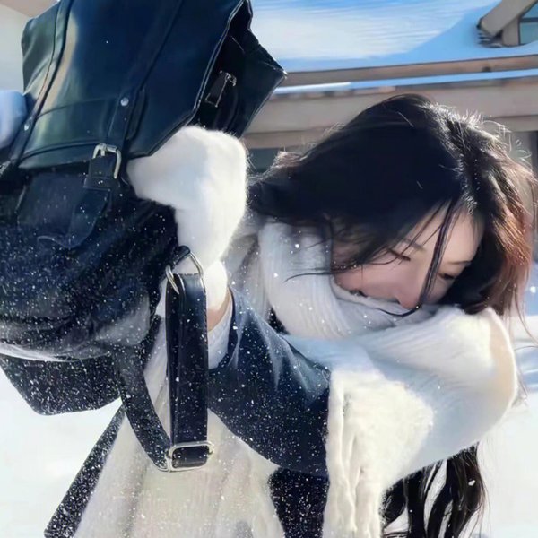 太空百合战斗姬海报